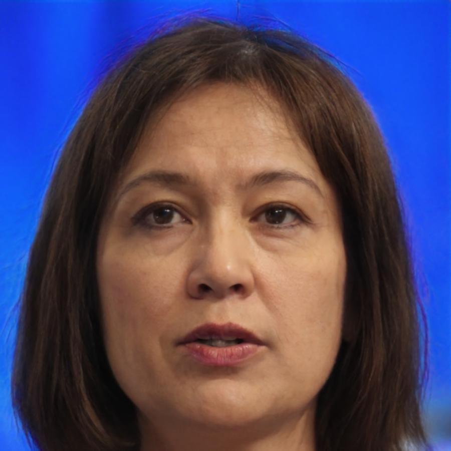 Participante del programa